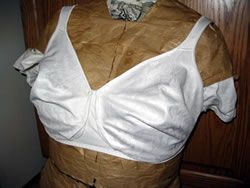 a bra for pumping breast milk