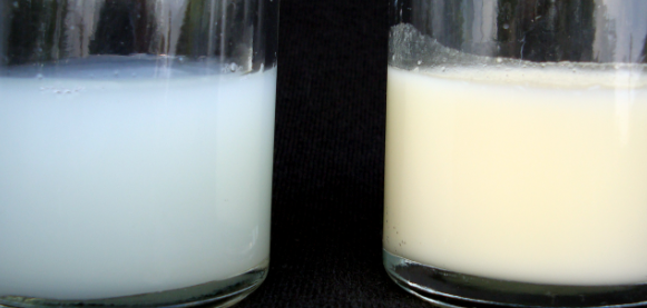 Do Foremilk and Hindmilk look different?, foremilk vs hindmilk