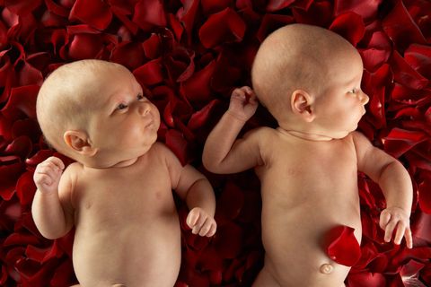 twins, twin babies, twins breastfeeding