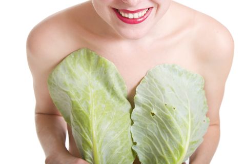 cabbage, cabbage leaves