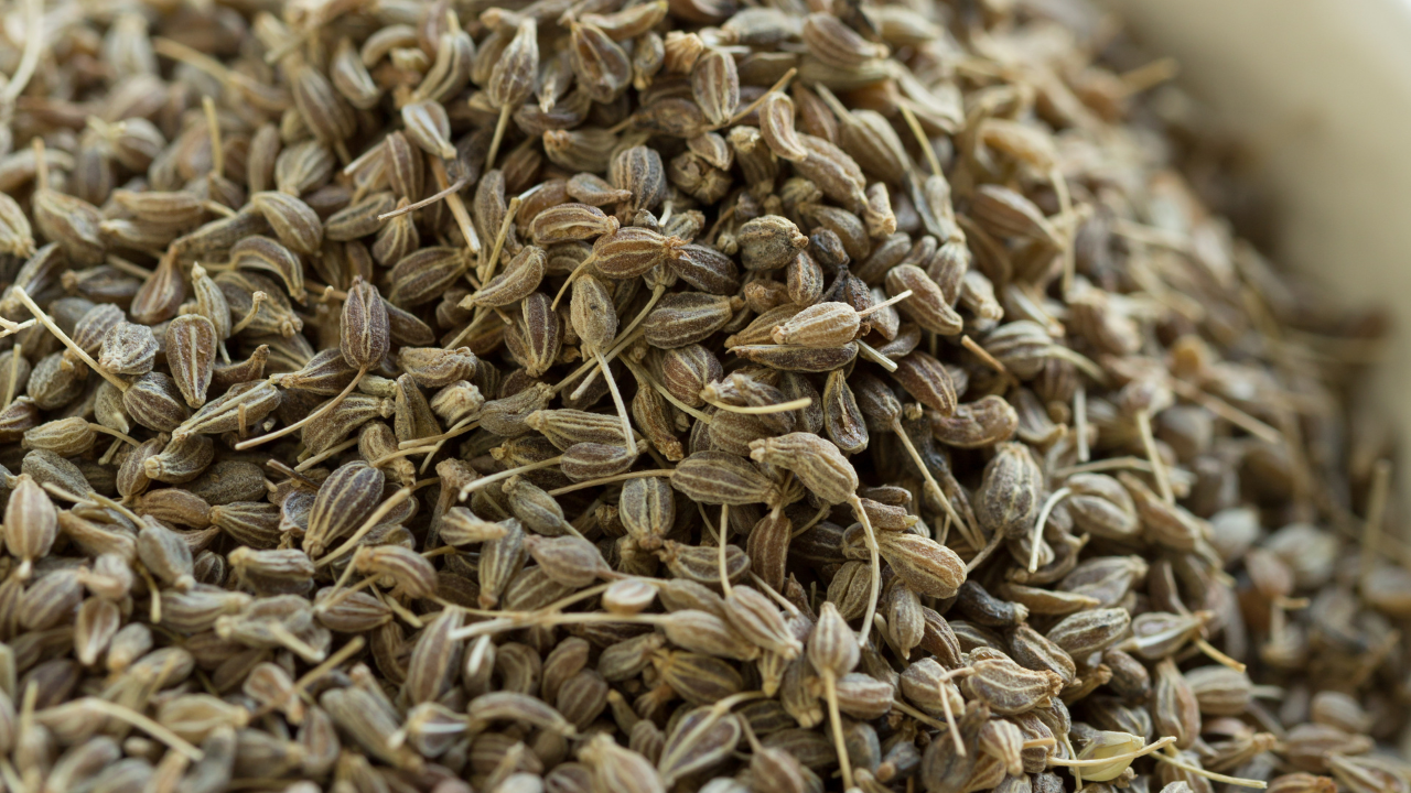 up close image of aniseed, anise seed
