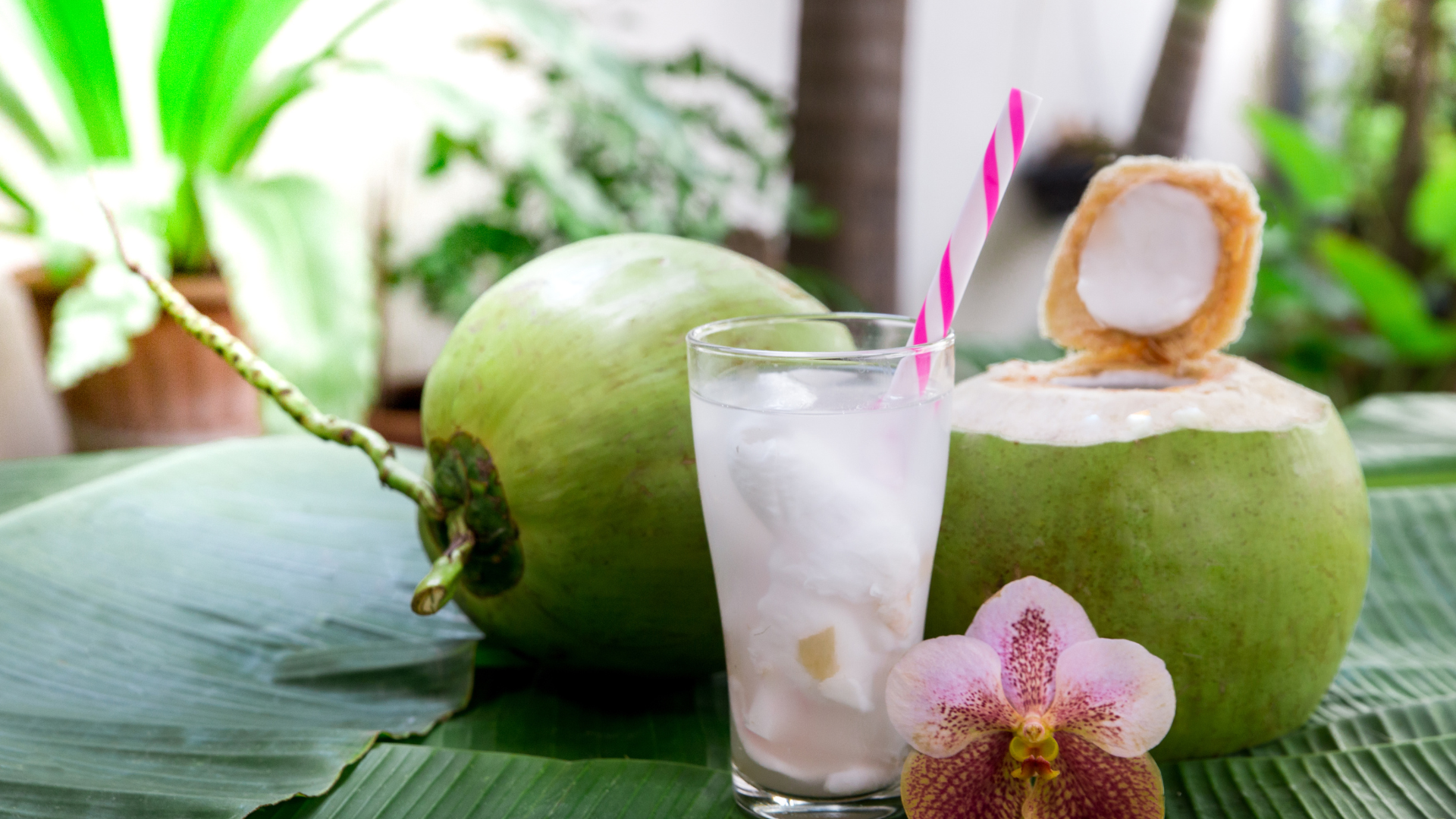 coconuts, coconut water