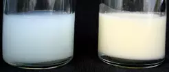 foremilk, hindmilk, foremilk pictures, hindmilk pictures 