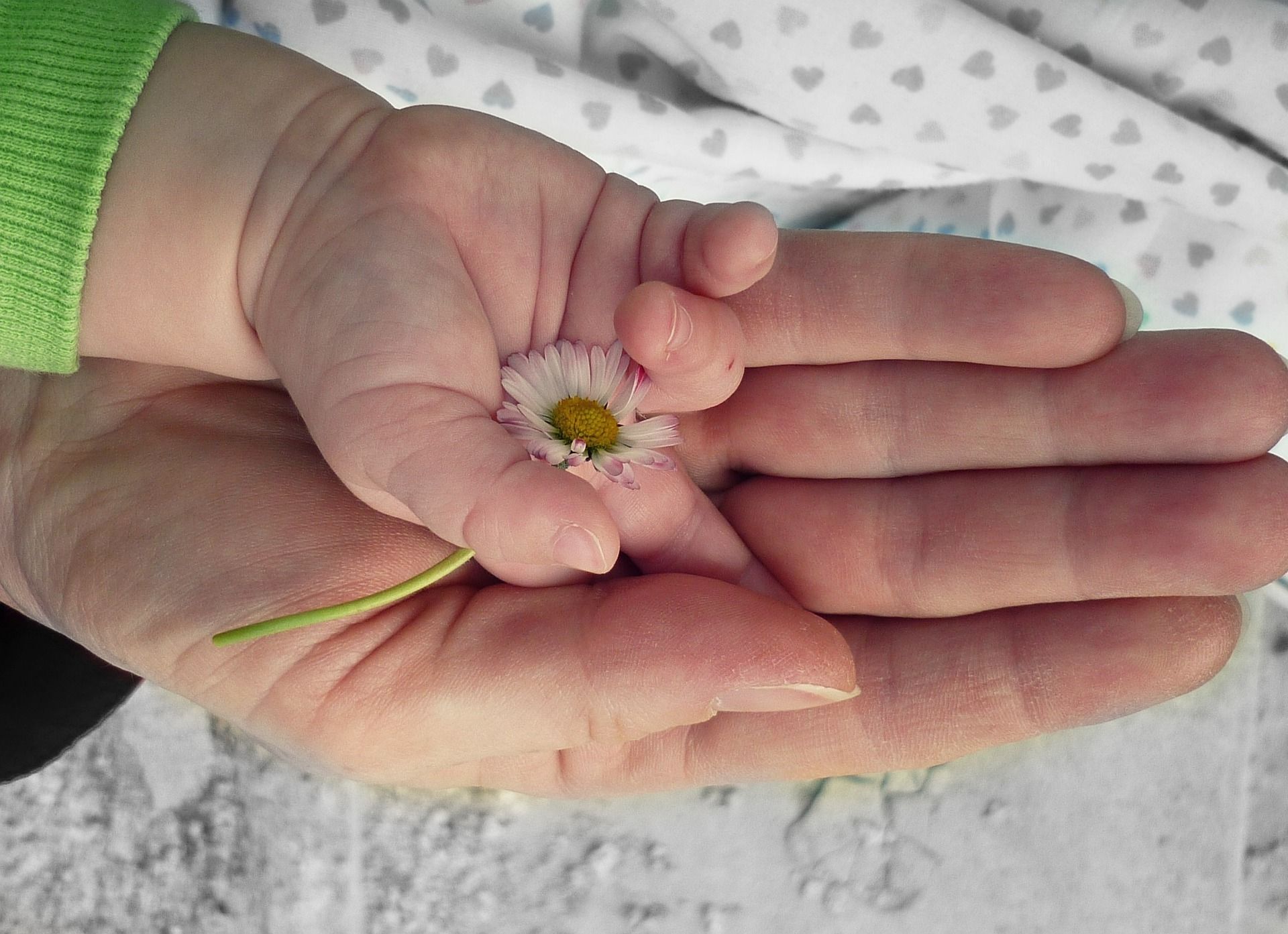 baby holding a flower