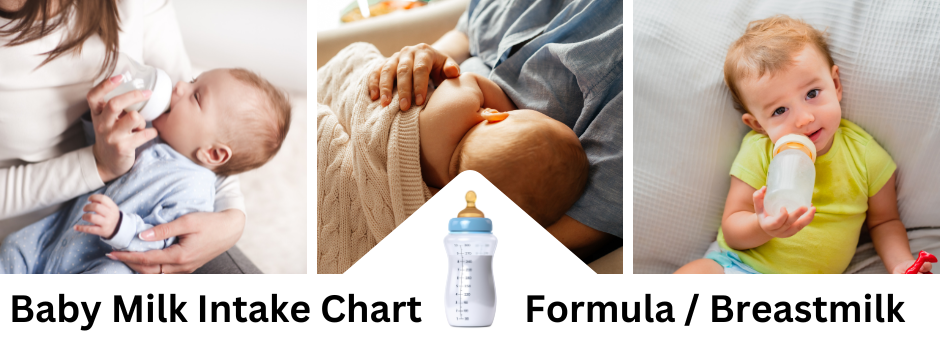 Bottle-fed and Breastfed Babies