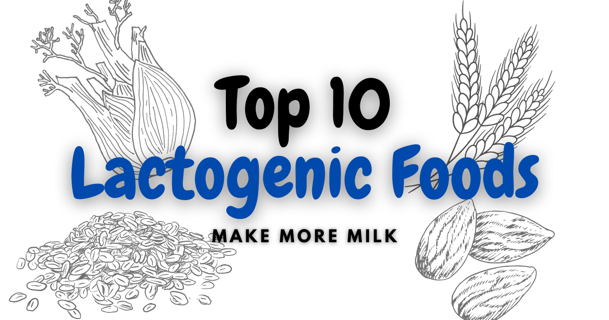 Increase Milk Supply – Top 10 Lactogenic Foods for Best Results
