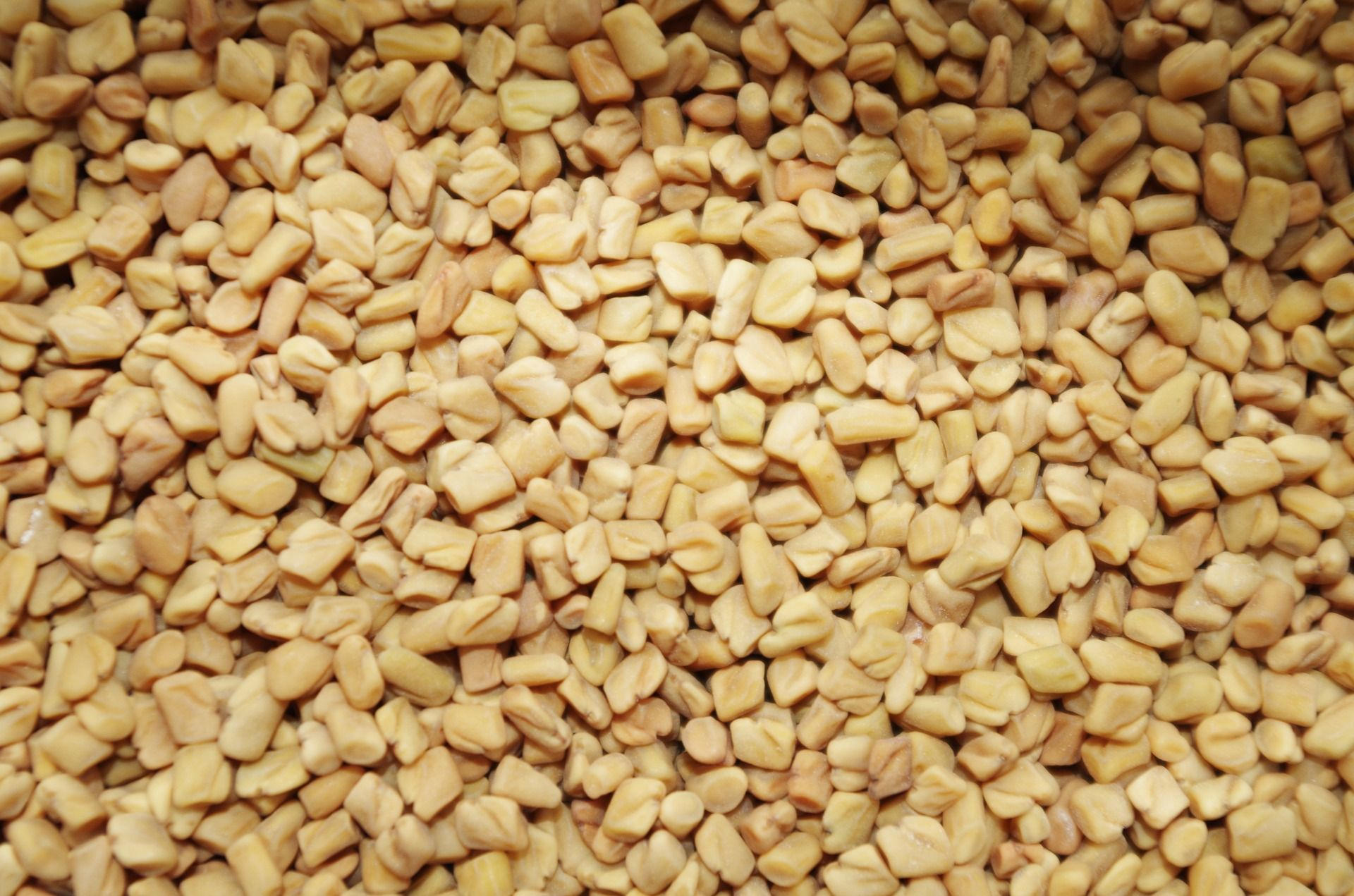 Fenugreek Intake While Breastfeeding