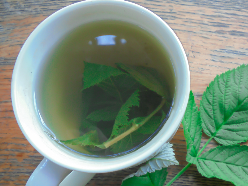 Red Raspberry Leaf Tea – Great Pregnancy & Postpartum Support