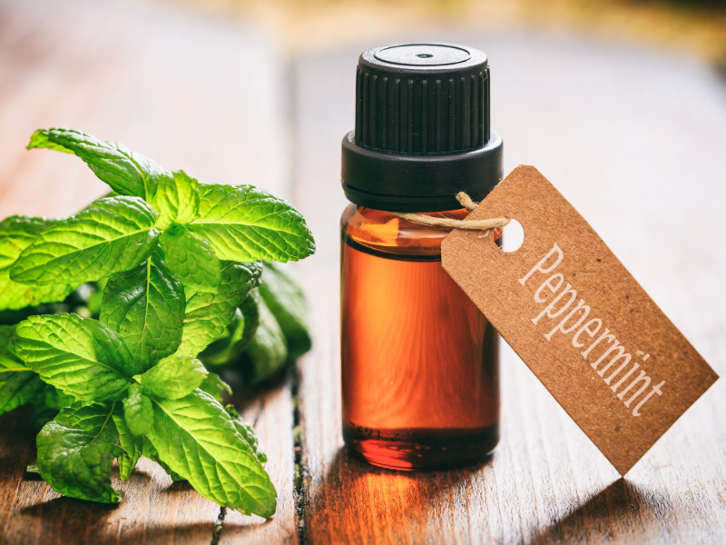 Peppermint and Breastfeeding – Safe or Risky for Your Milk Supply?