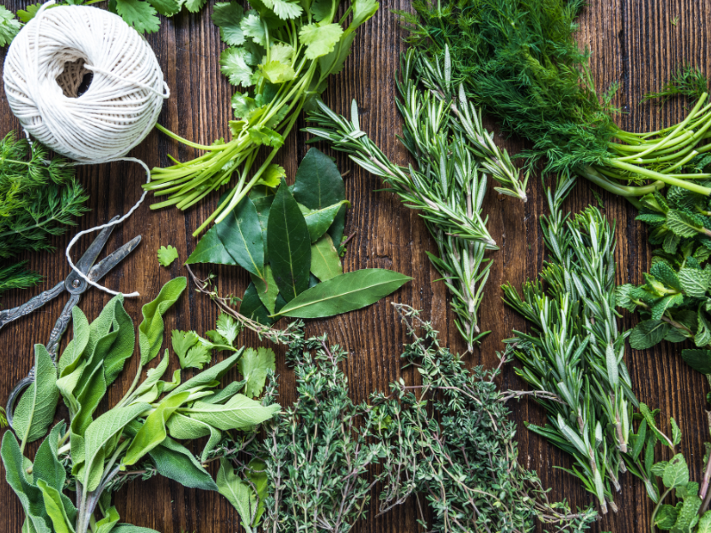 Herbs and Breastfeeding – Powerful Aids – Boost Supply & More