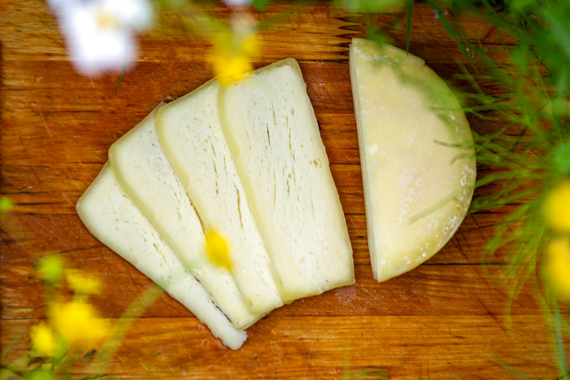 From Breast to Brie: Exploring the Phenomenon of Breast Milk Cheese